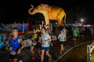 BIB: 
                            <button type="button" onclick="openModal(26552279)" class="btn btn-primary btn-sm float-right btn-popup" data-toggle="modal" data-target=".modal-high-quality">
                        <i class="fas fa-shopping-cart"></i> Add to Cart
                    </button>
                                            <button type="button" onclick="isThisMe(26552279, true)" class="btn btn-success btn-sm float-right btn-popup btn-isme hidden" data-toggle="tooltip" data-placement="bottom" title="นี่คือรูปของคุณใช่ไหม คลิกที่นี่เพื่อเอาเข้าอัลบั้ม">
                        <i class="fas fa-plus"></i> Add to album
                    </button>
                    <button type="button" onclick="isThisMe(26552279, false)" class="btn btn-warning btn-sm float-right btn-popup btn-isnotme hidden">
                        <i class="fas fa-ban"></i> Remove from album
                    </button>